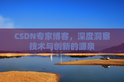 CSDN专家博客，深度洞察技术与创新的源泉